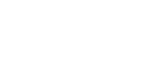 Design sem nome - 2026-02-17T120211.615