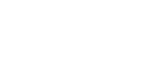 Design sem nome - 2026-02-17T120535.623